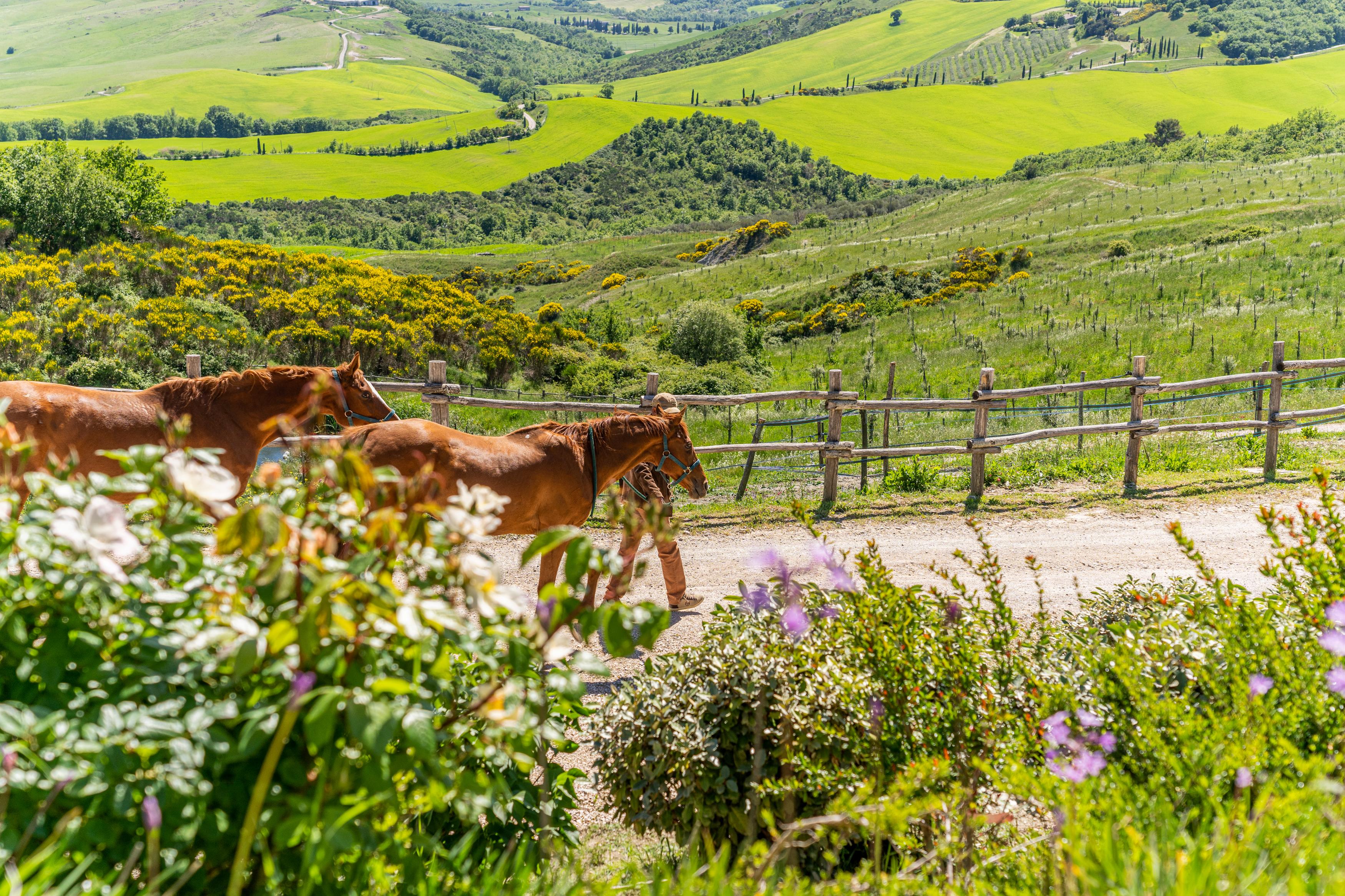 Podere Val D'Orcia - Tuscany Equestrian Sarteano Exterior photo