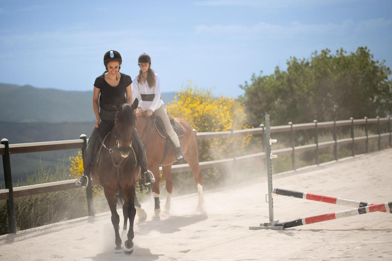 Podere Val D'Orcia - Tuscany Equestrian Sarteano Exterior photo